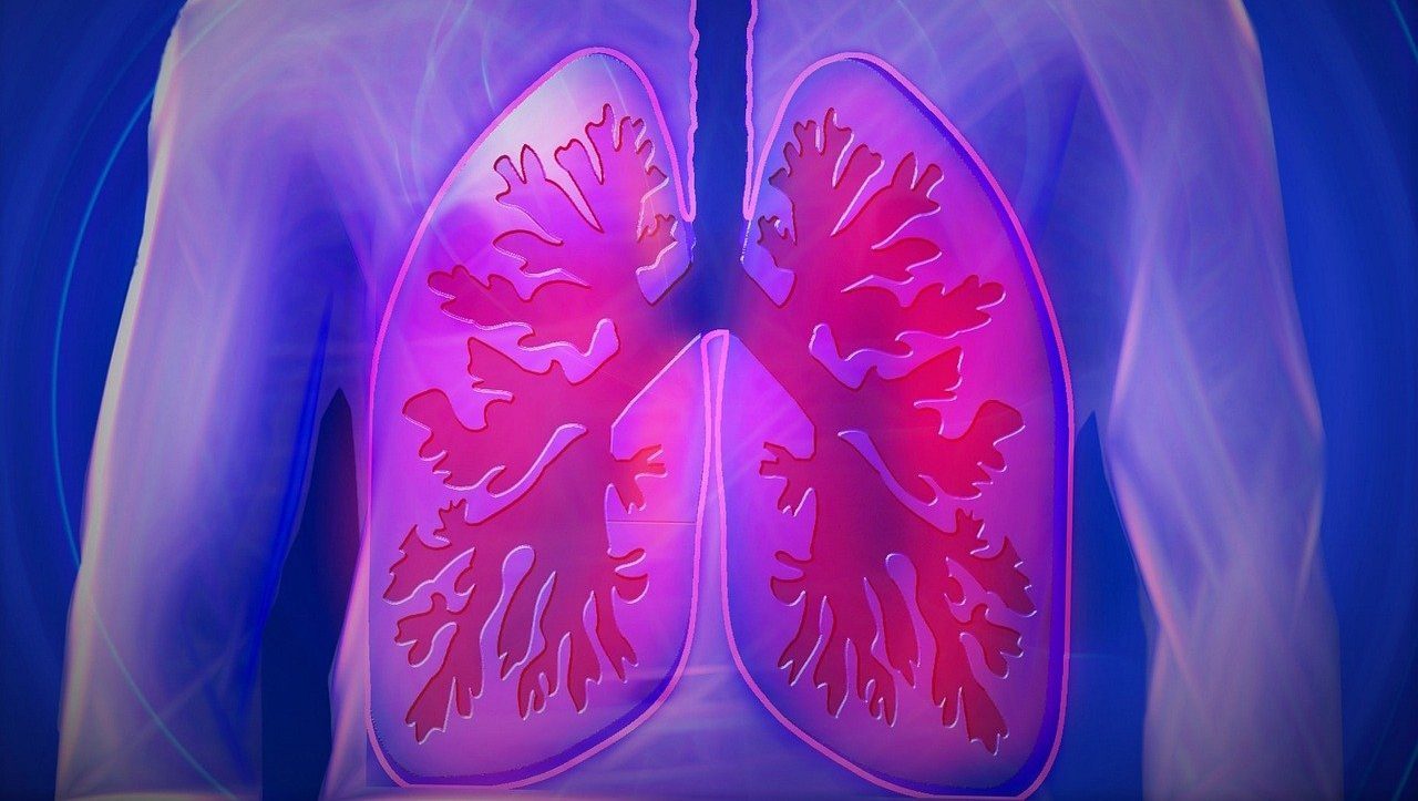 Illustration der Lunge zur Spirometrie